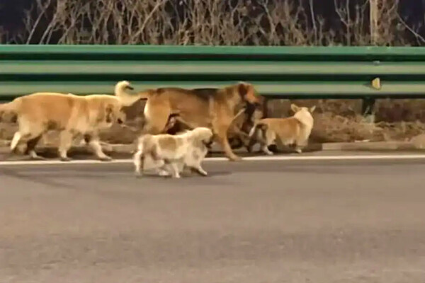 Соцсети    📷