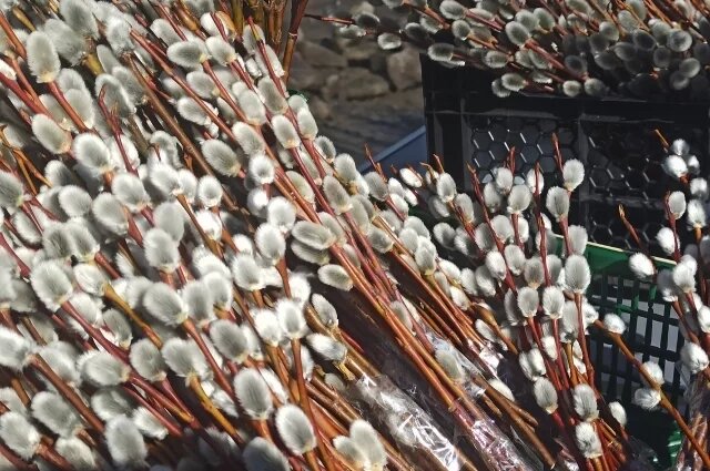    Когда Вербное воскресенье в 2026 году?