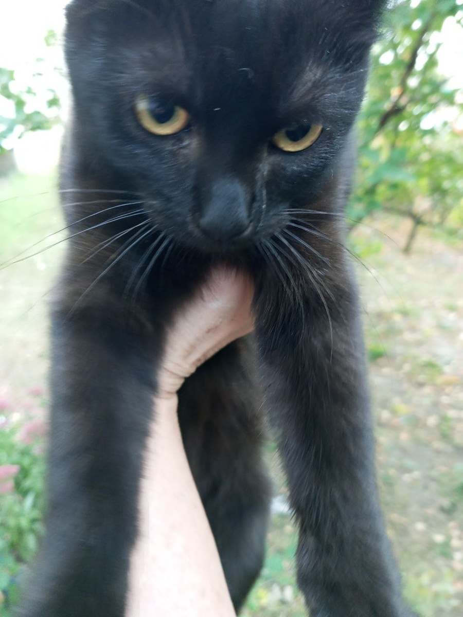 Малышке 4 месяца