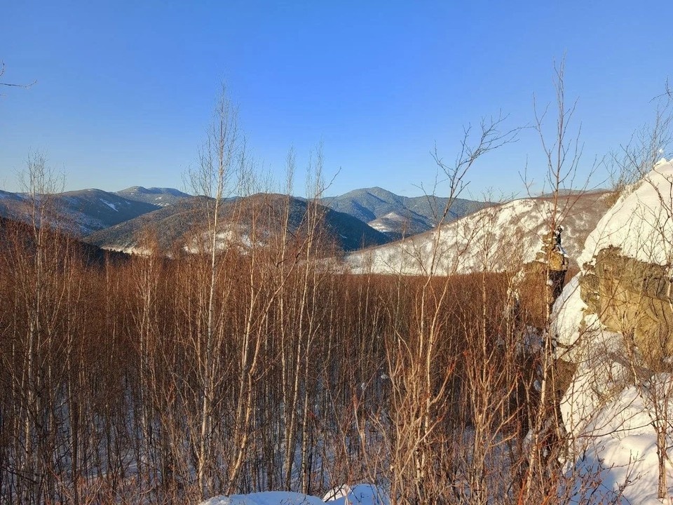    Любовь Полина