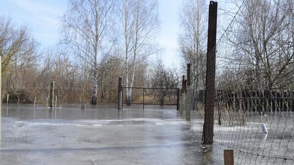    © Sputnik / Татьяна Федоренко