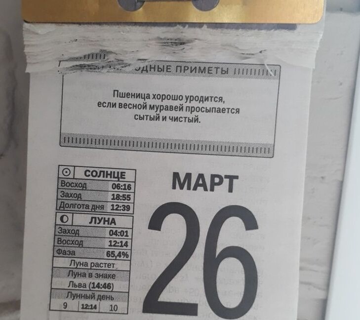 © evgeniyaM2 / Pikabu