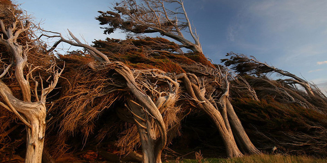 «Застывший ураган» Слоуп-Пойнт — в подборке интересных фактов