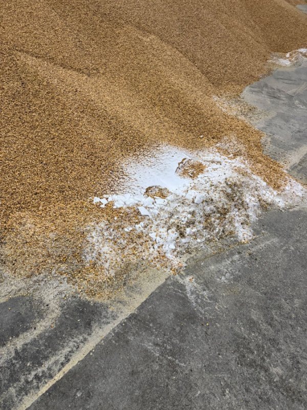     © фото - Управление Россельхознадзора по Орловской и Курской областям