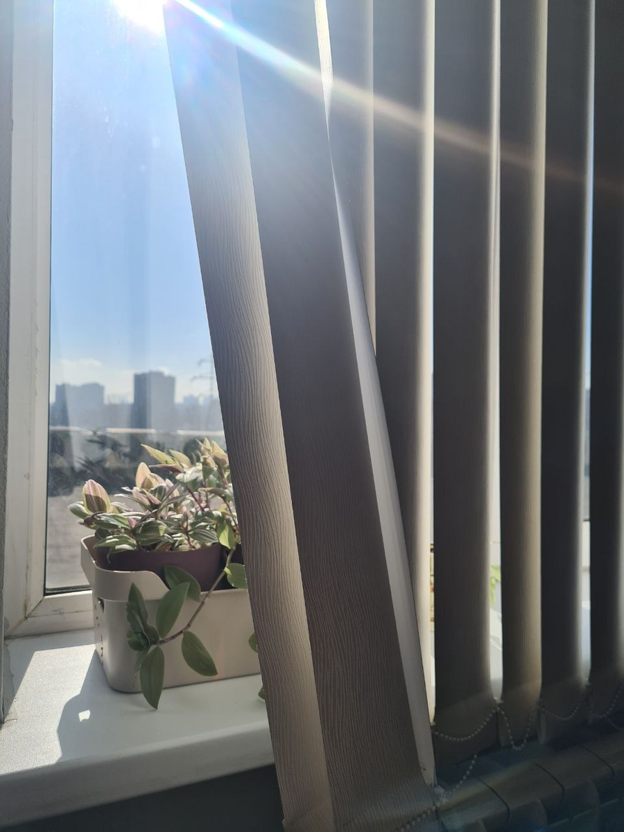 Фото из личного архива автора.