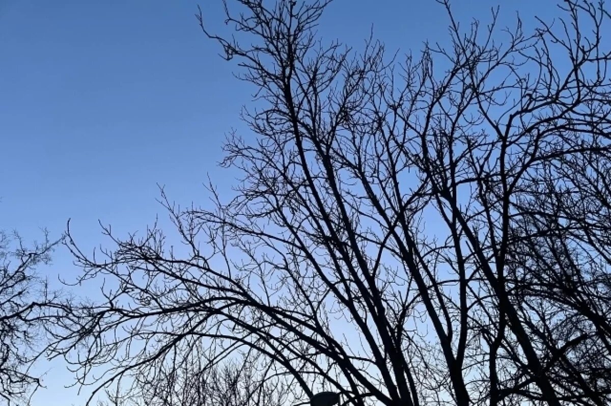    Стала известна среднемесячная температура в марте в Туле