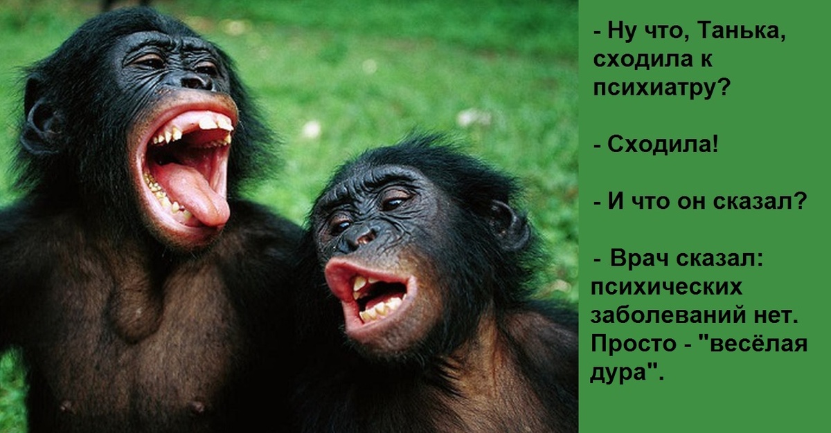 /из доступного фонда Яндекс.Картинки/