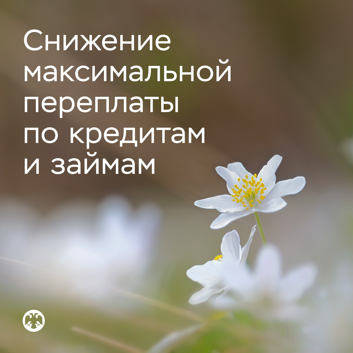 Фото: Stefan Holm / Shutterstock