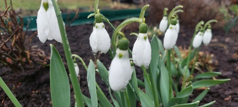     © фото Елены Матвеевой