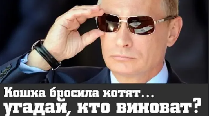 «Кошка бросила котят — это Путин виноват»