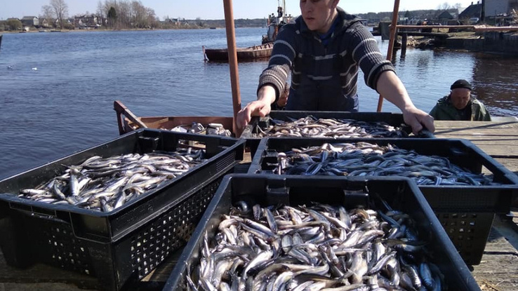 Фото: пресс-служба администрации Ленинградской области