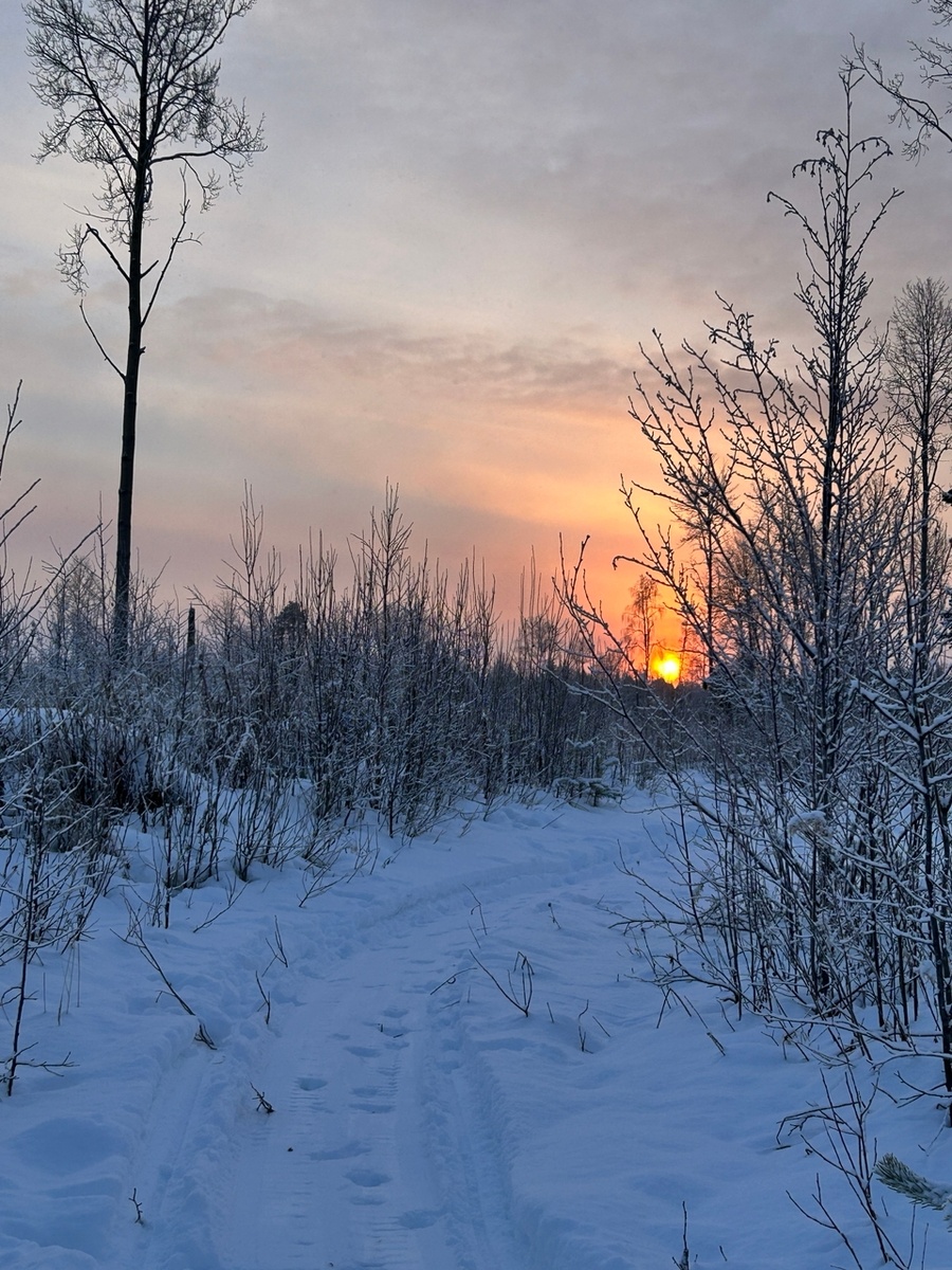 Север не может похвастаться обилием ярких красок, как это бывает на Юге. Но когда они есть - сердце замирает от восторга.