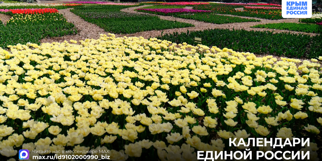 На календаре — апрель! И в Крыму весна в самом разгаре!