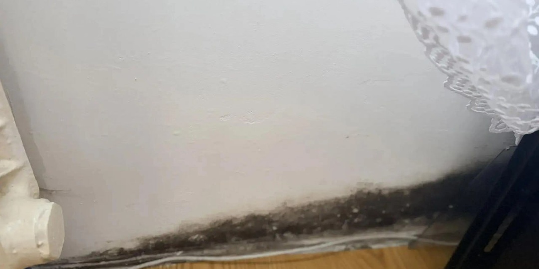 Канализация хлынула в подвал многоэтажки на Белорусской, 23, — людей атаковали мошки и тараканы