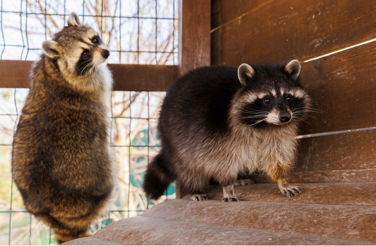    Фото: Екатерина Зотова