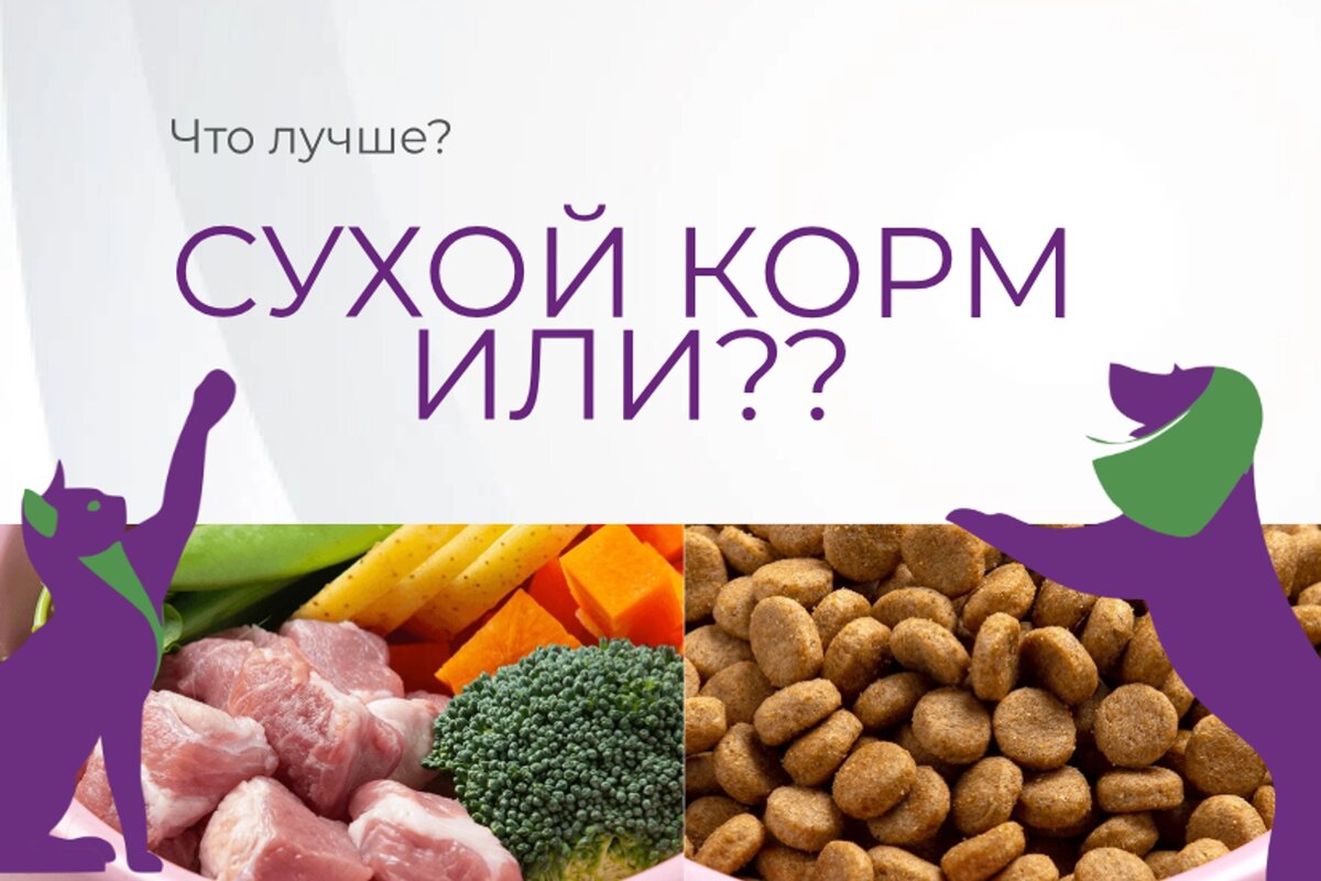 Сухой кормили натуральный-ченм кормить собаку?