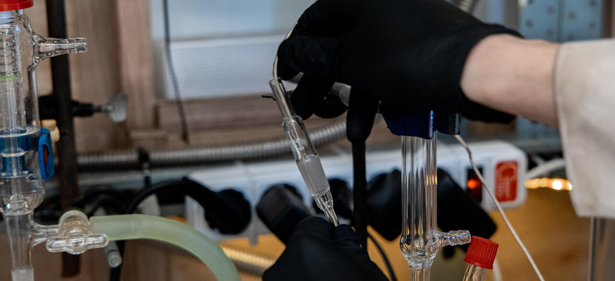    Фото: Минобрнауки РФ