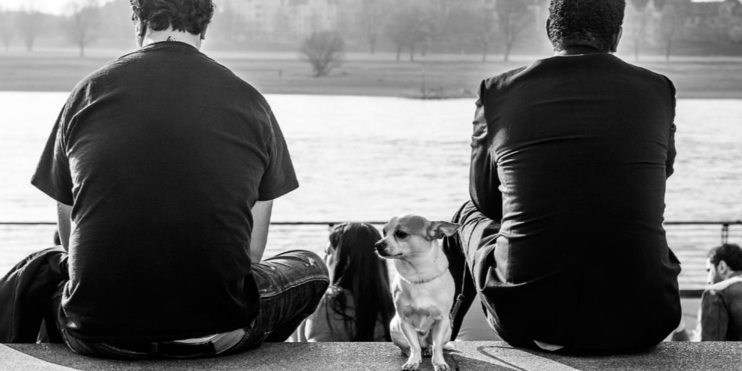 Дэниел Деннет о сознании: почему наш разум — это не чудо, а эволюционный фокус