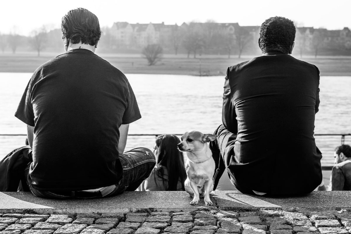 Мы готовы разделить Вселенную на физику и сознание, оставив последнее в неприкосновенном резерве