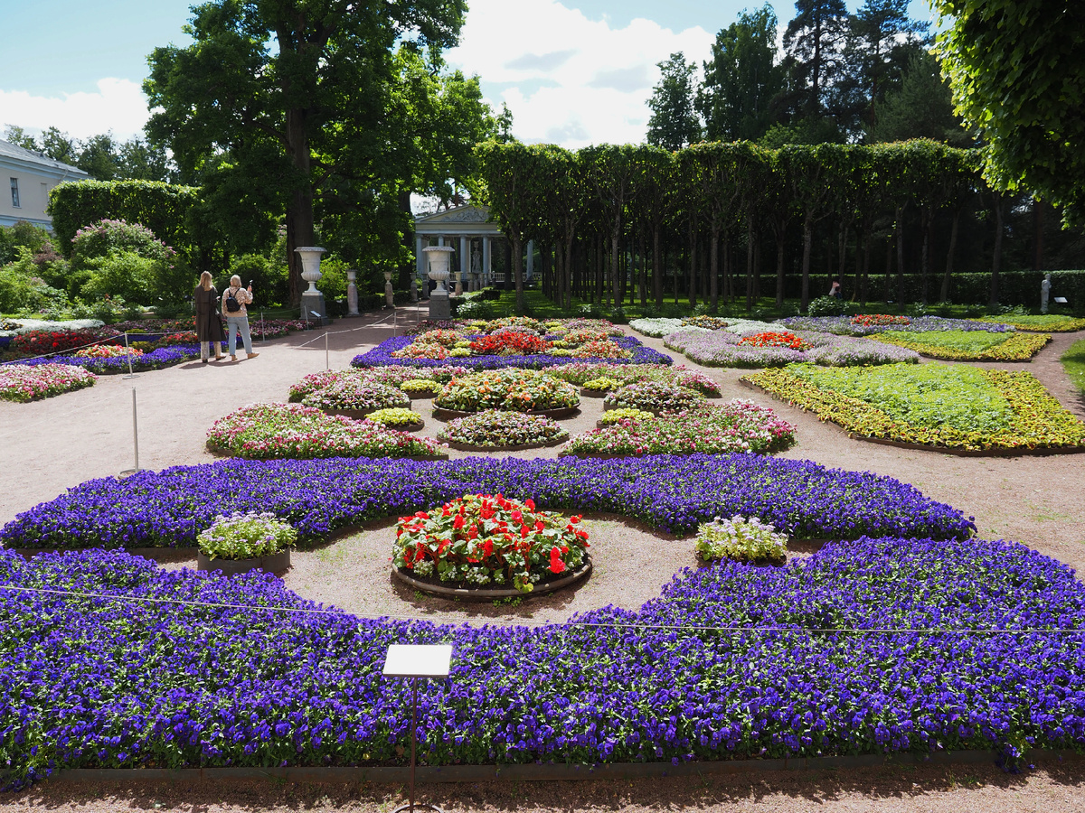 Собственный сад императрицы Марии Федоровны, вторая половина июня