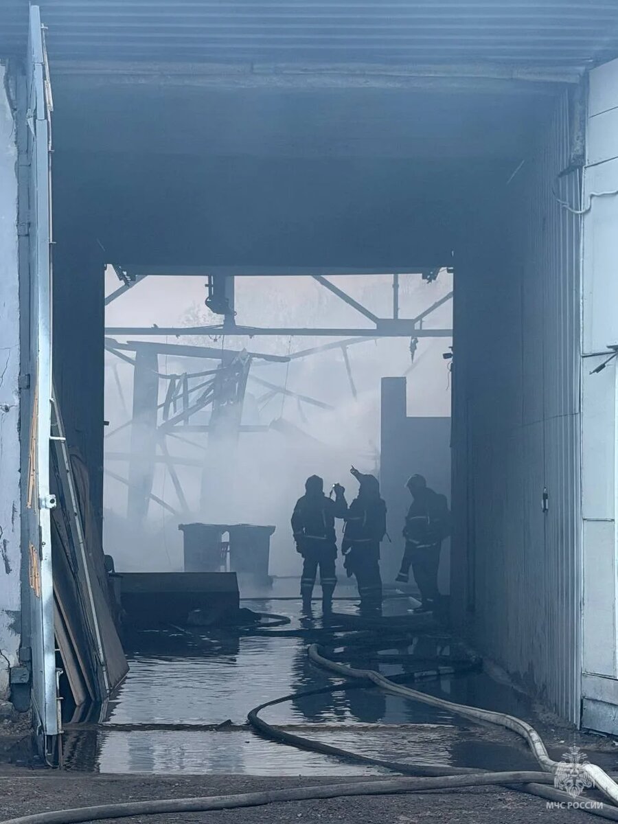    Фото: пресс-служба МЧС Петербурга