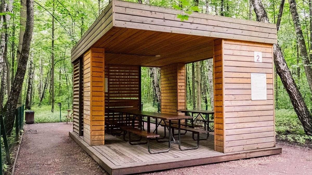    Фото: mos.ru / Официальный сайт мэра Москвы