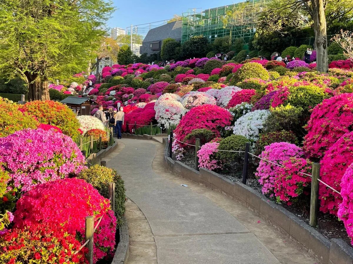    Красивая Япония ждет россиян. Фото: предоставлено туроператором ПАКС