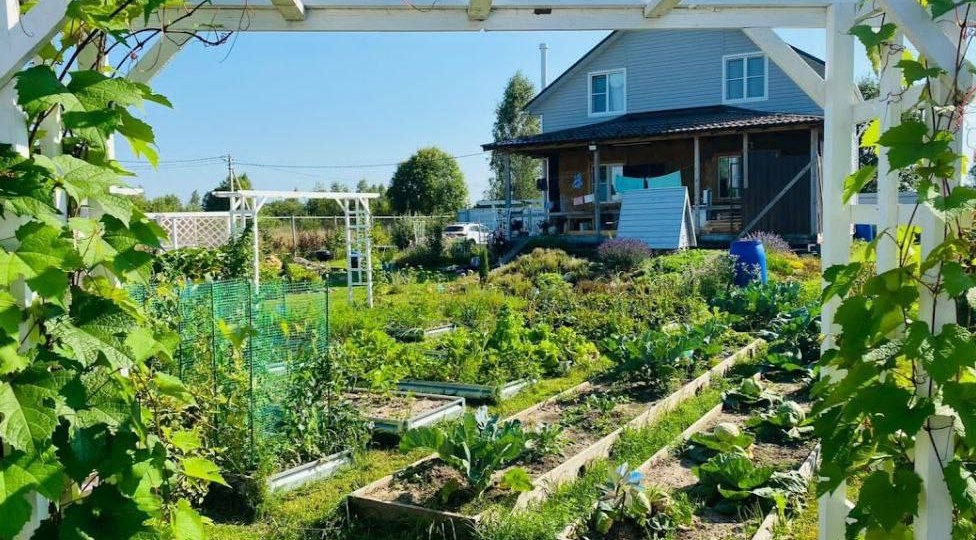 Участок и машину теперь не заберут