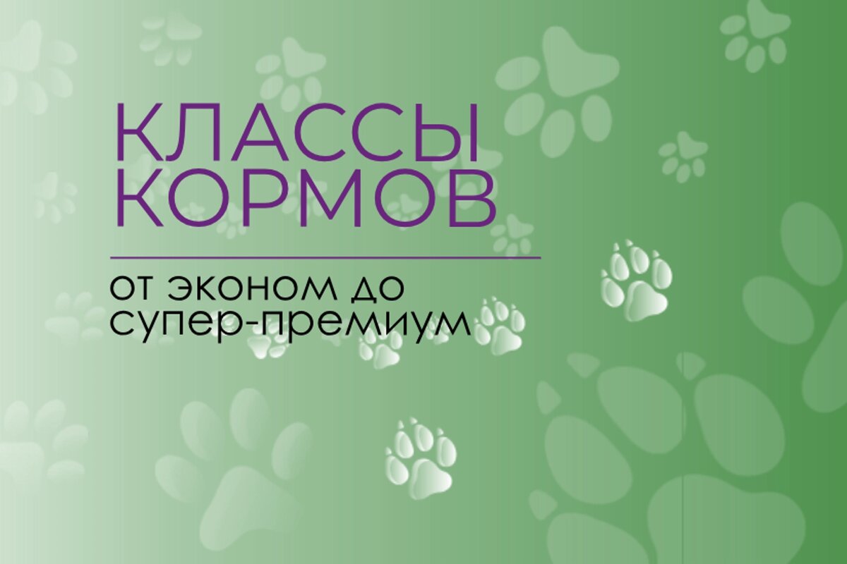 Класс корма для кошек класс корма для собак