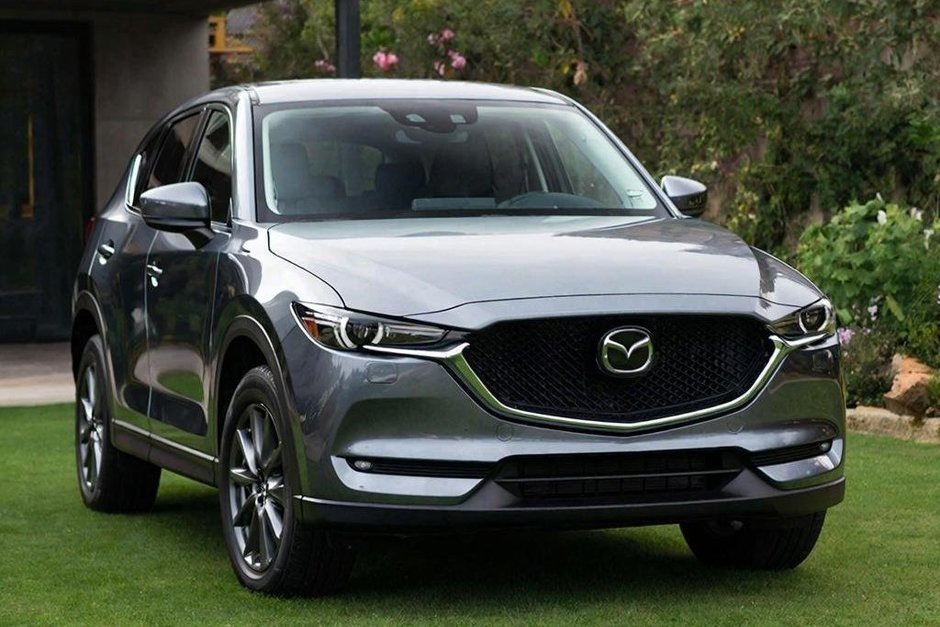   сгенерировано при помощи нейросети «Шедеврум»