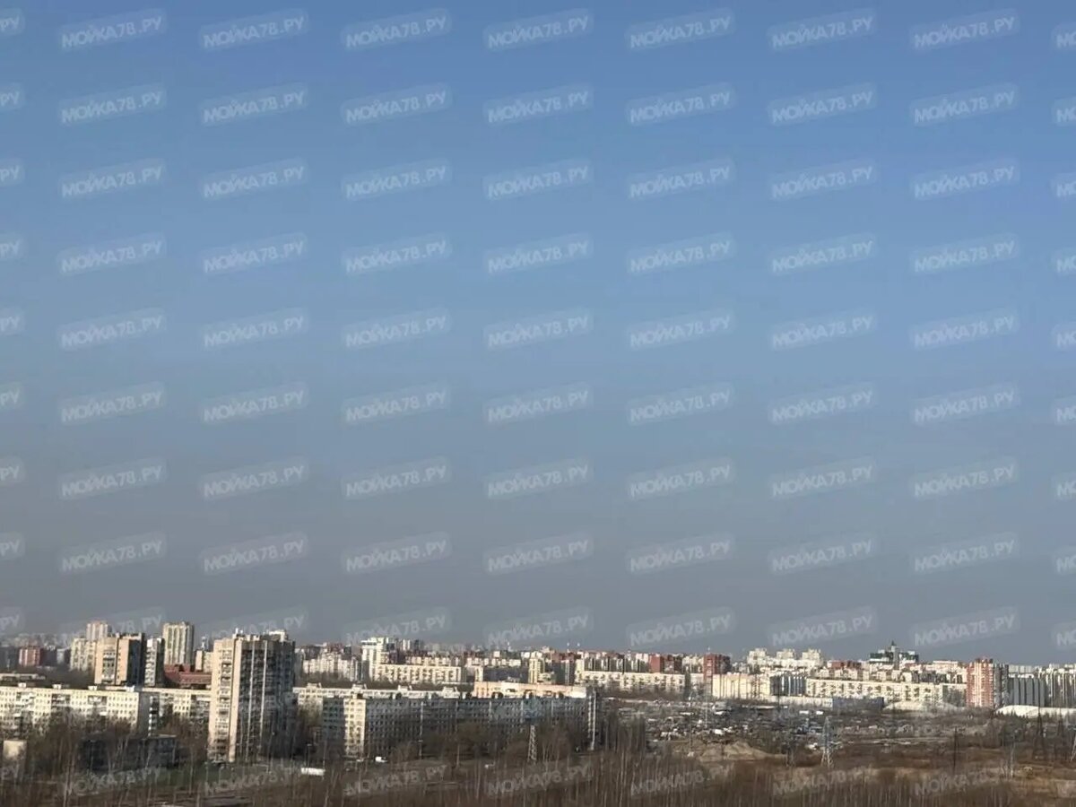    Петербург 29 марта. Фото: читатель Мойки78