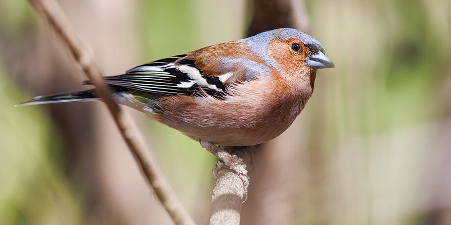    Фото: портал мэра и правительства Москвы/Олег Сосницкий