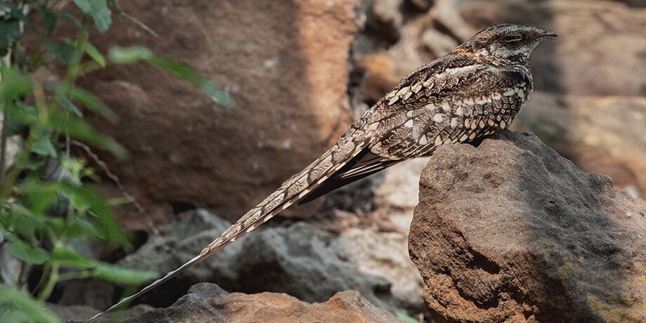    Фото: ТАСС/Zuma