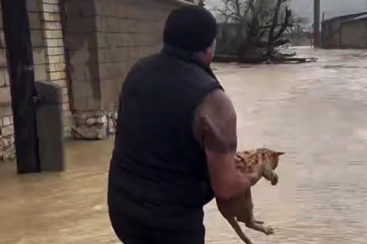    Пострадавшим от ЧС дагестанцам помогут восстановить документы без госпошлин