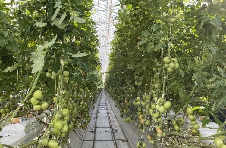    Фото: Минсельхоз Республики Коми