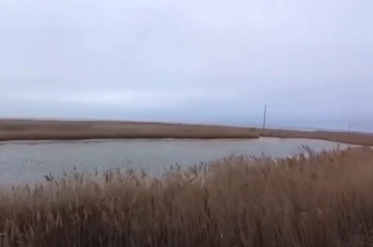    Ущерб на 50 млн.