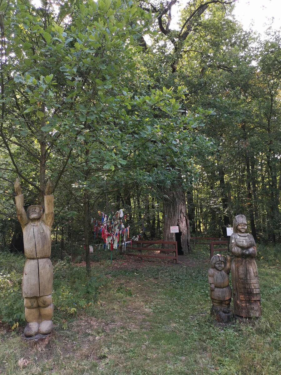 Фото: Наталья (истончик: Яндекс.Карты)