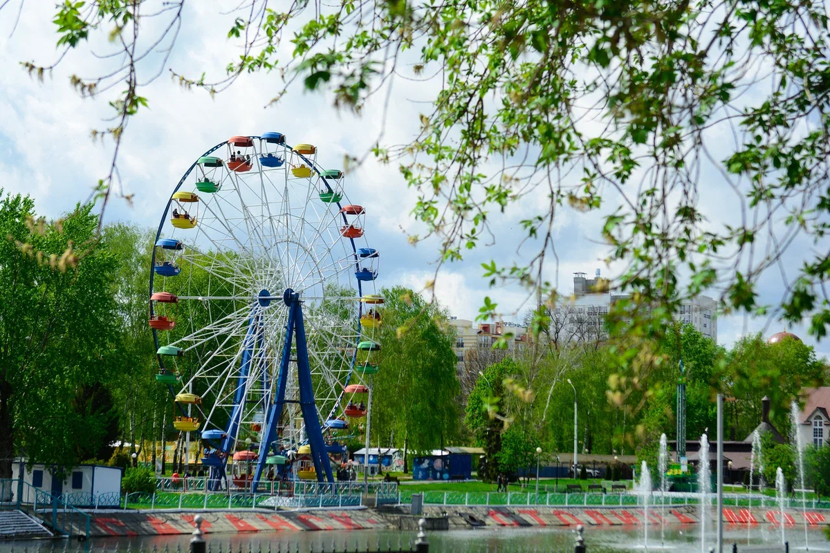 Фото: Андрей Трифонов