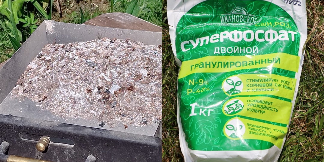 Готовлю лунку для рассады перца из 3 компонентов. Суперфосфат с золой туда не беру