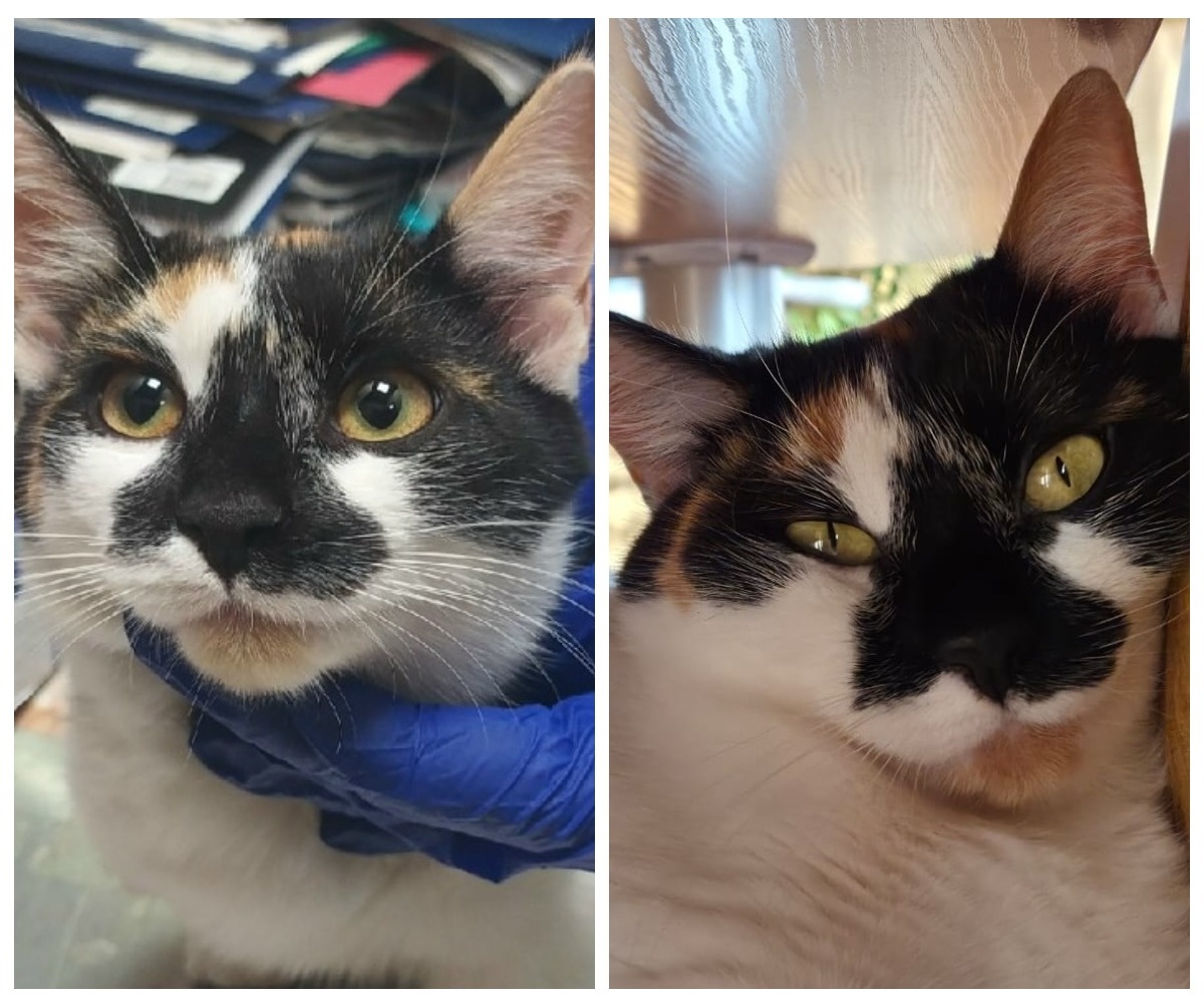 Сарочка – выпускница приюта.