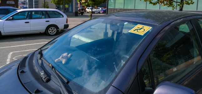 Фото: Людмила Ковалева, из архива редакции