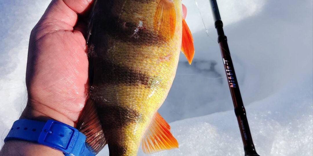 Окончательное закрытие зимнего сезона