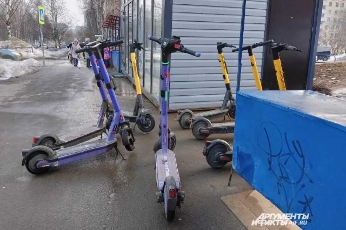    Новые меры безопасности вводят в Барнауле для электросамокатов