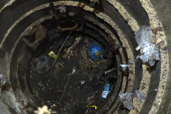 СУ СК России по Владимирской области   📷