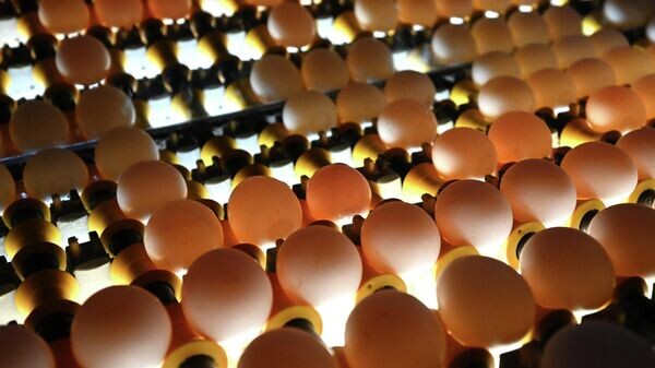    © Sputnik / Константин Михальчевский