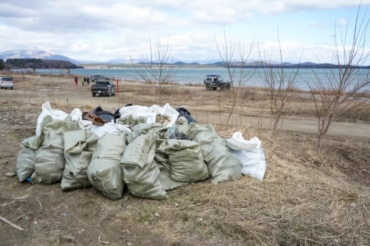    Желающих приглашают разгрести завалы на берегу Волгоградского водохранилища