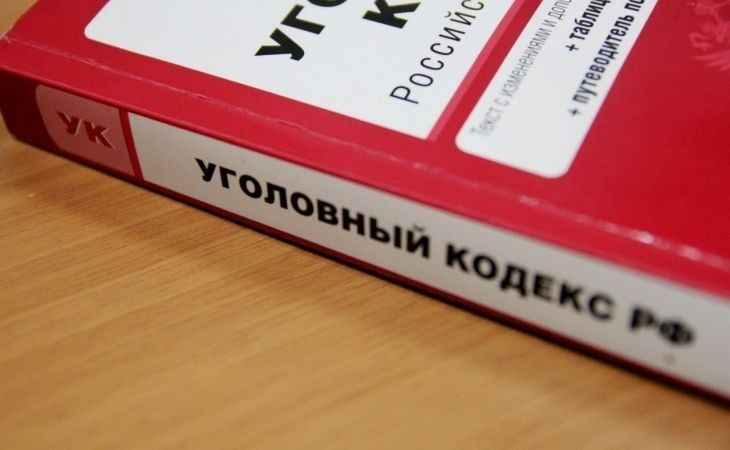 УК РФ. Фото: объединенная пресс-служба судов Алтайского края