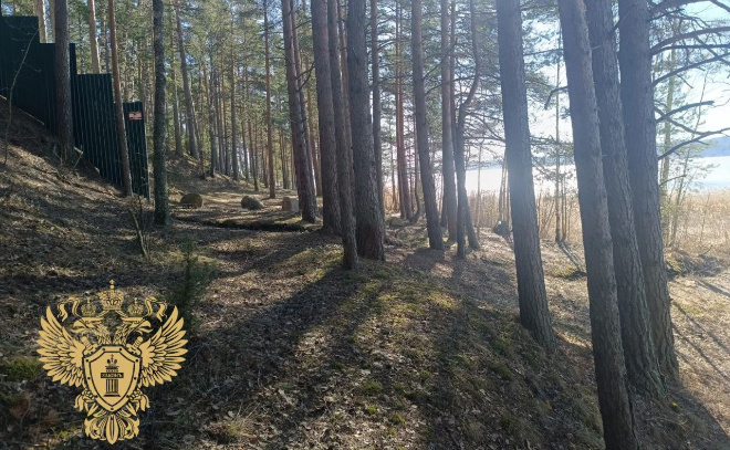    © Прокуратура Ленобласти