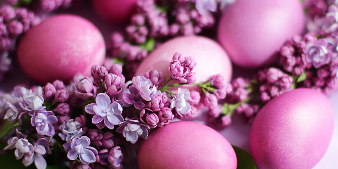 Как покрасить яйца на Пасху: натуральные рецепты с ярким эффектом