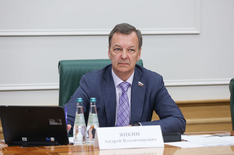   Владислав Тарасов/Пресс-служба Совета Федерации